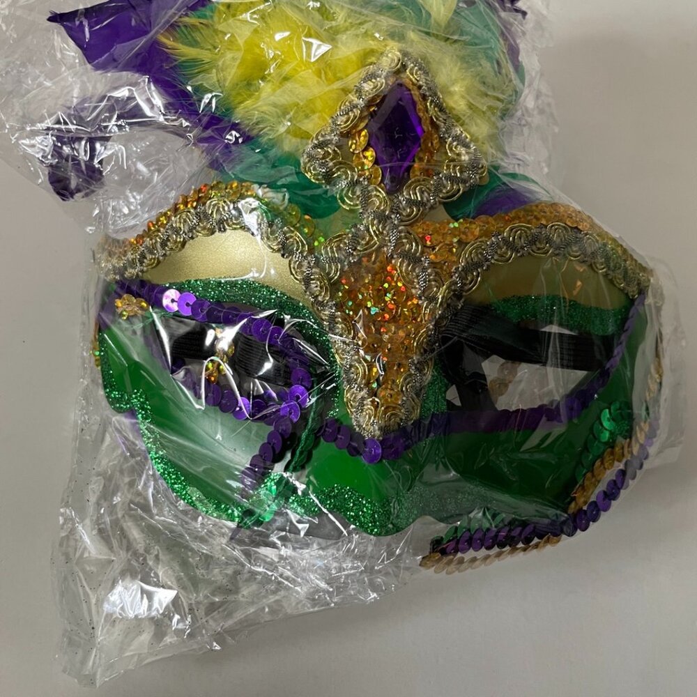 2 Mardi Gras Feather Masquerade Masks